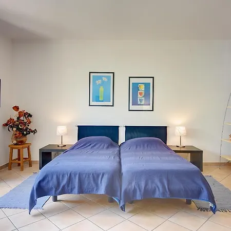 Brajdine ميدولين