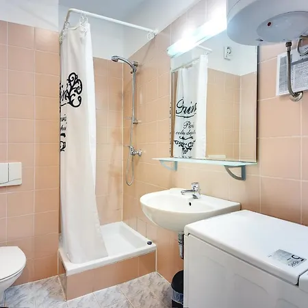 Ana Apartment Medulin